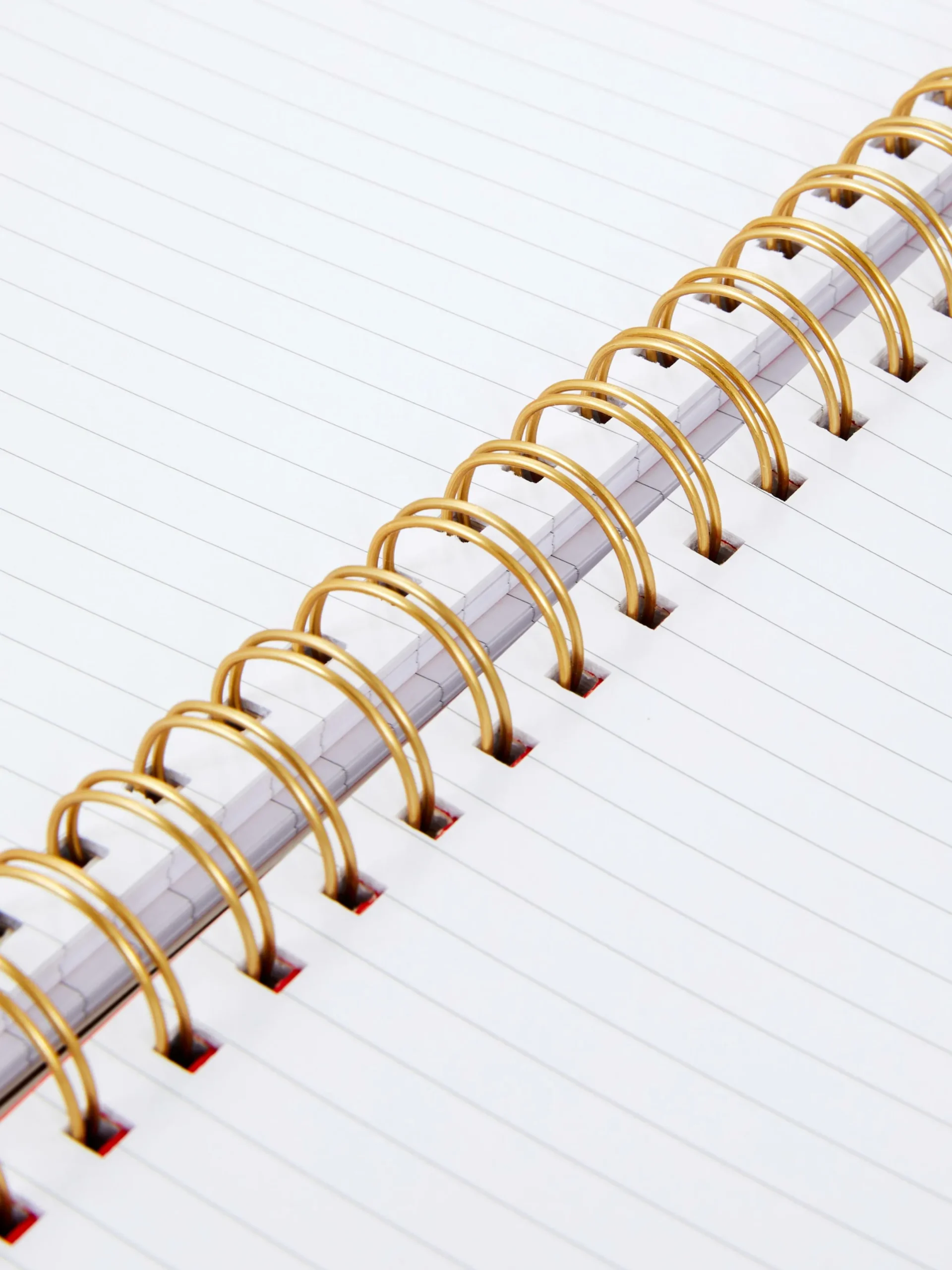 Carnet à Spirale A4 à Motif Cœur Avec Intercalaires|Primark Online