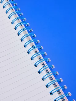 Carnet A4 à Imprimé Jaguar|Primark Discount