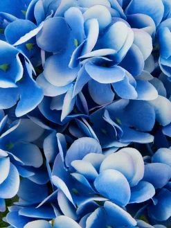 Faux Bouquet D'hortensia|Primark Best