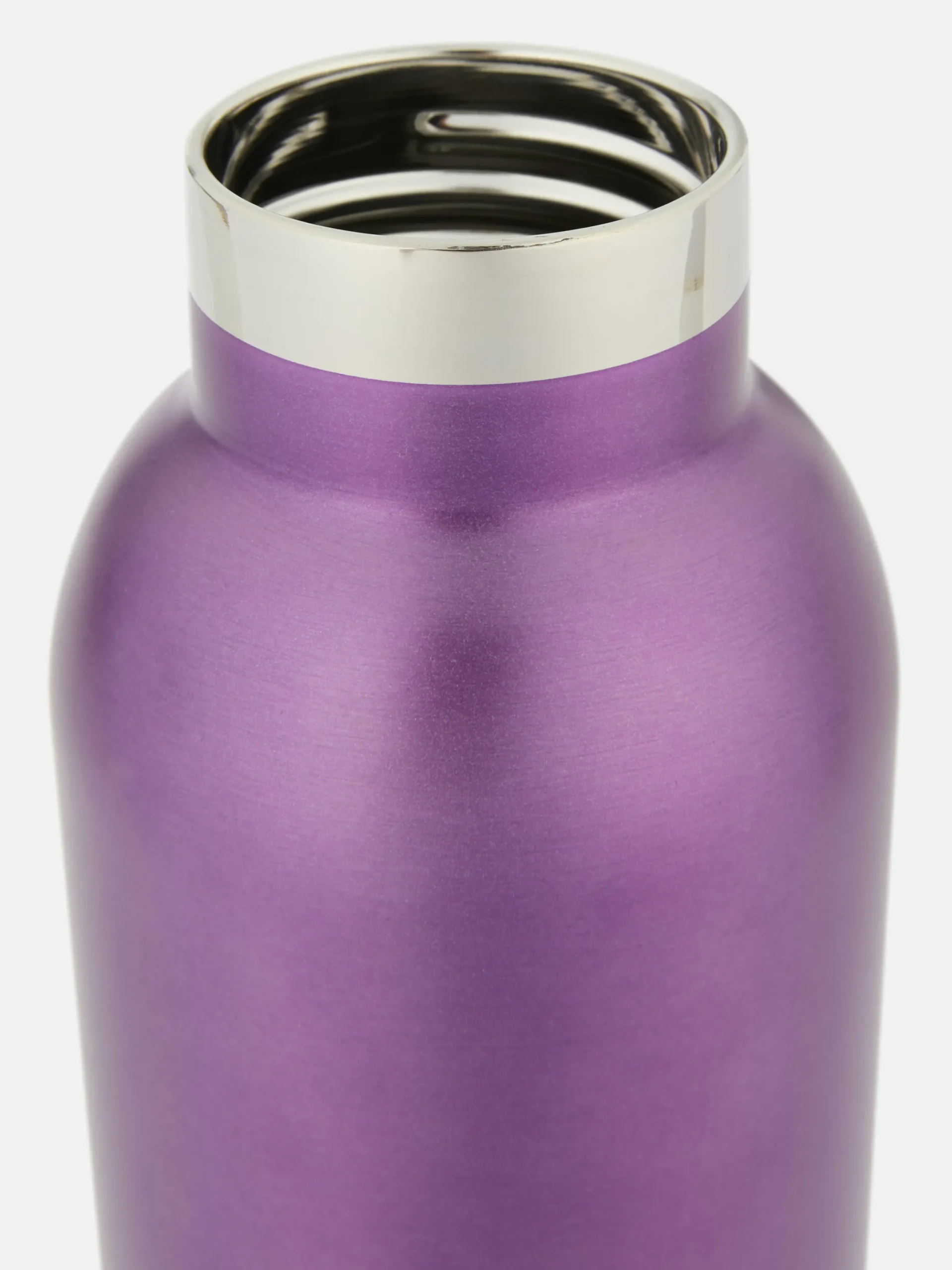 Gourde En Acier Inoxydable Avec Poignée|Primark Outlet