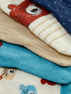 Lot De 5 Paires De Chaussettes Ours|Primark Online