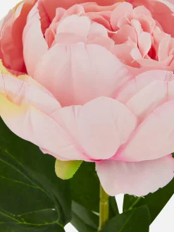 Pivoine Artificielle Une Tige|Primark Hot