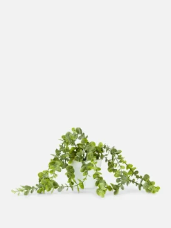 Plante Rampante Artificielle En Pot|Primark Online